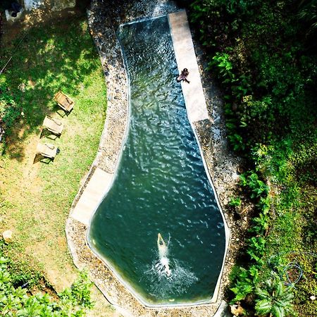 Natural Mystic Sanctuary Deniyaya Exterior photo