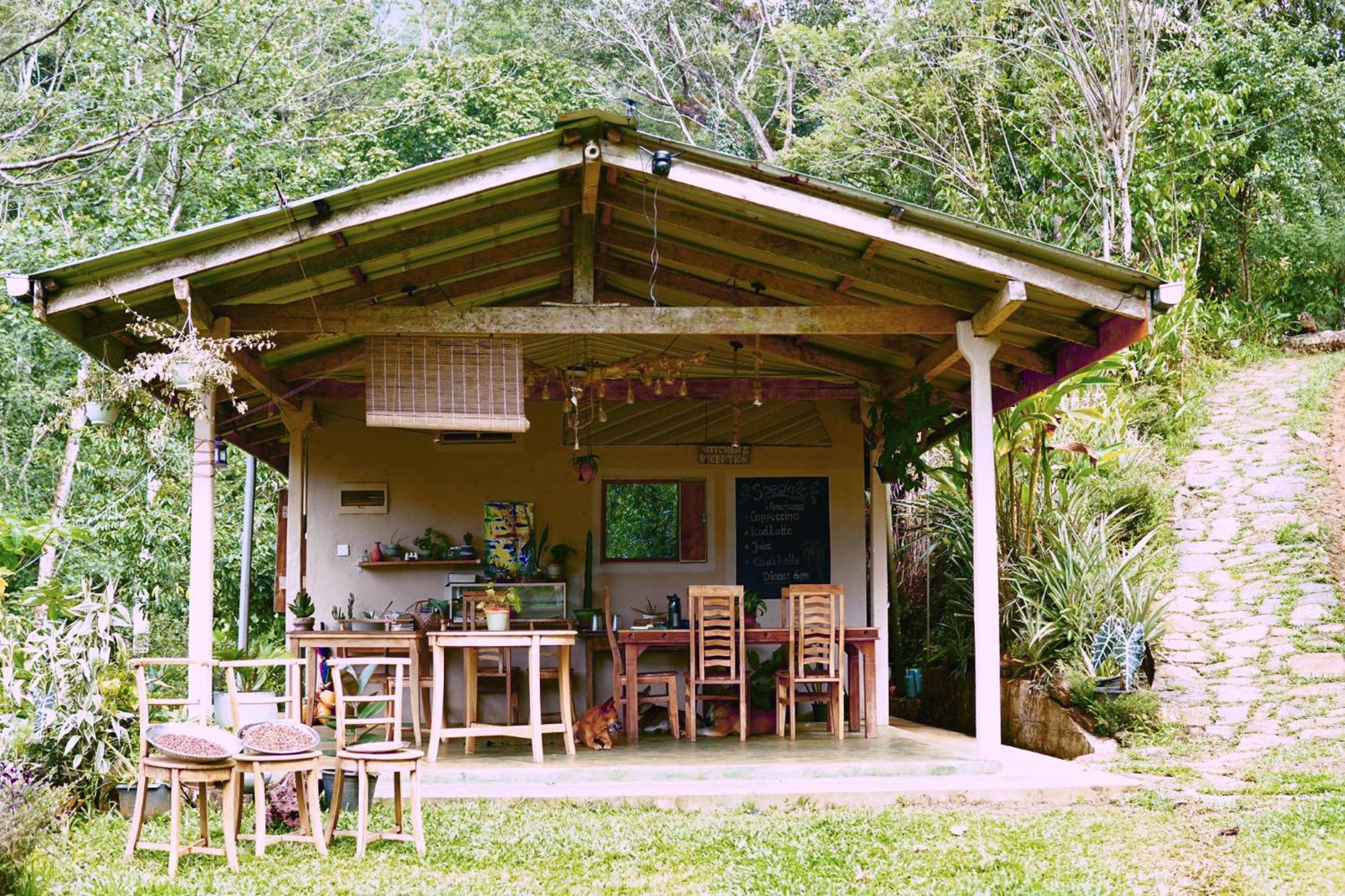 Natural Mystic Sanctuary Deniyaya Exterior photo